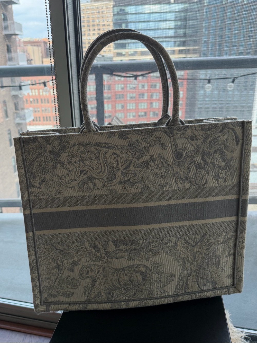 Dior Toile de Jouy Canvas Book Tote - Picture 2 of 7